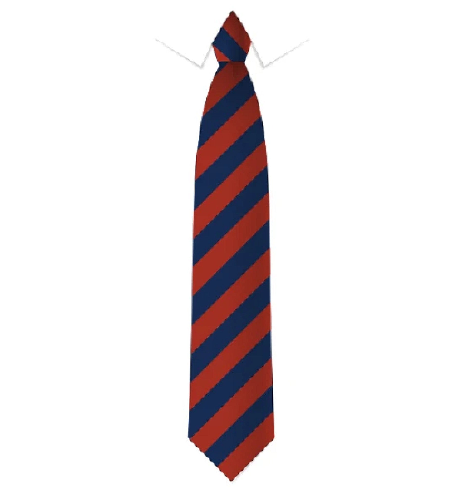 St Mary and St Joseph's catholic primary tie